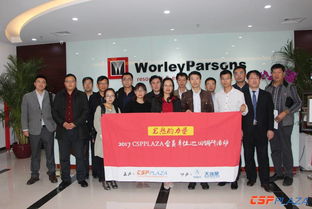 如何选择海外技术咨询服务？——来自参与7GW光热项目的WorleyParsons经验分享