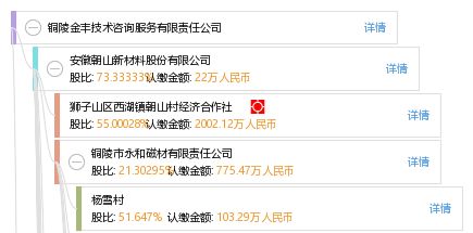 铜陵金丰技术咨询服务有限责任公司 专业引领，技术赋能未来